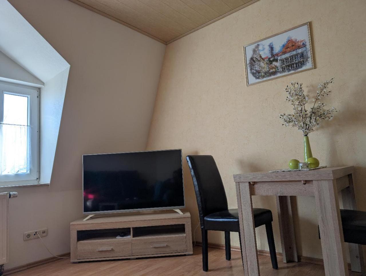 Ambiente-An-Der-Elbe-Wohnung-Og Дрезден Экстерьер фото
