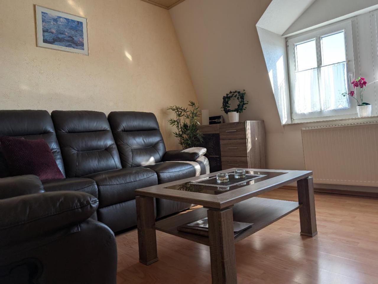Ambiente-An-Der-Elbe-Wohnung-Og Дрезден Экстерьер фото